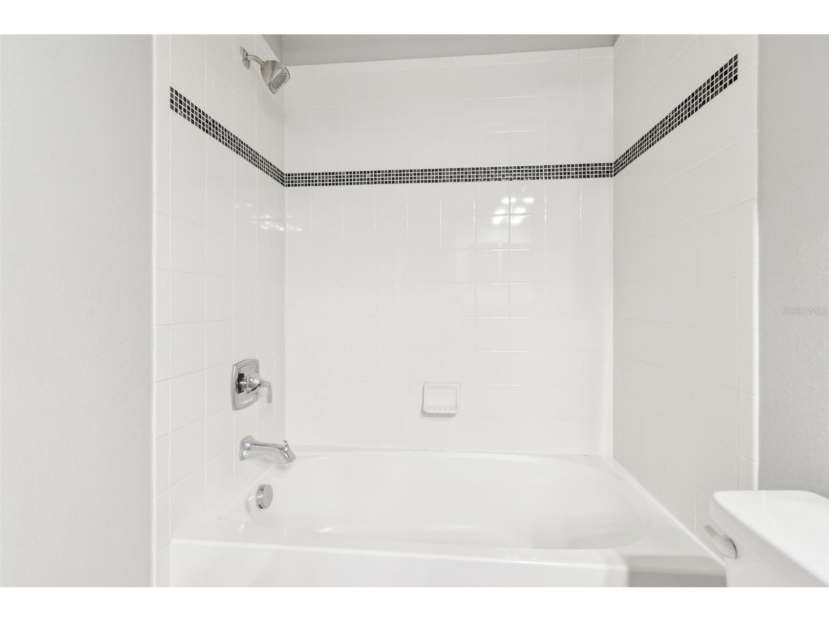 11748 Albatross Lane Riverview FL 33569 TB8449022 image49