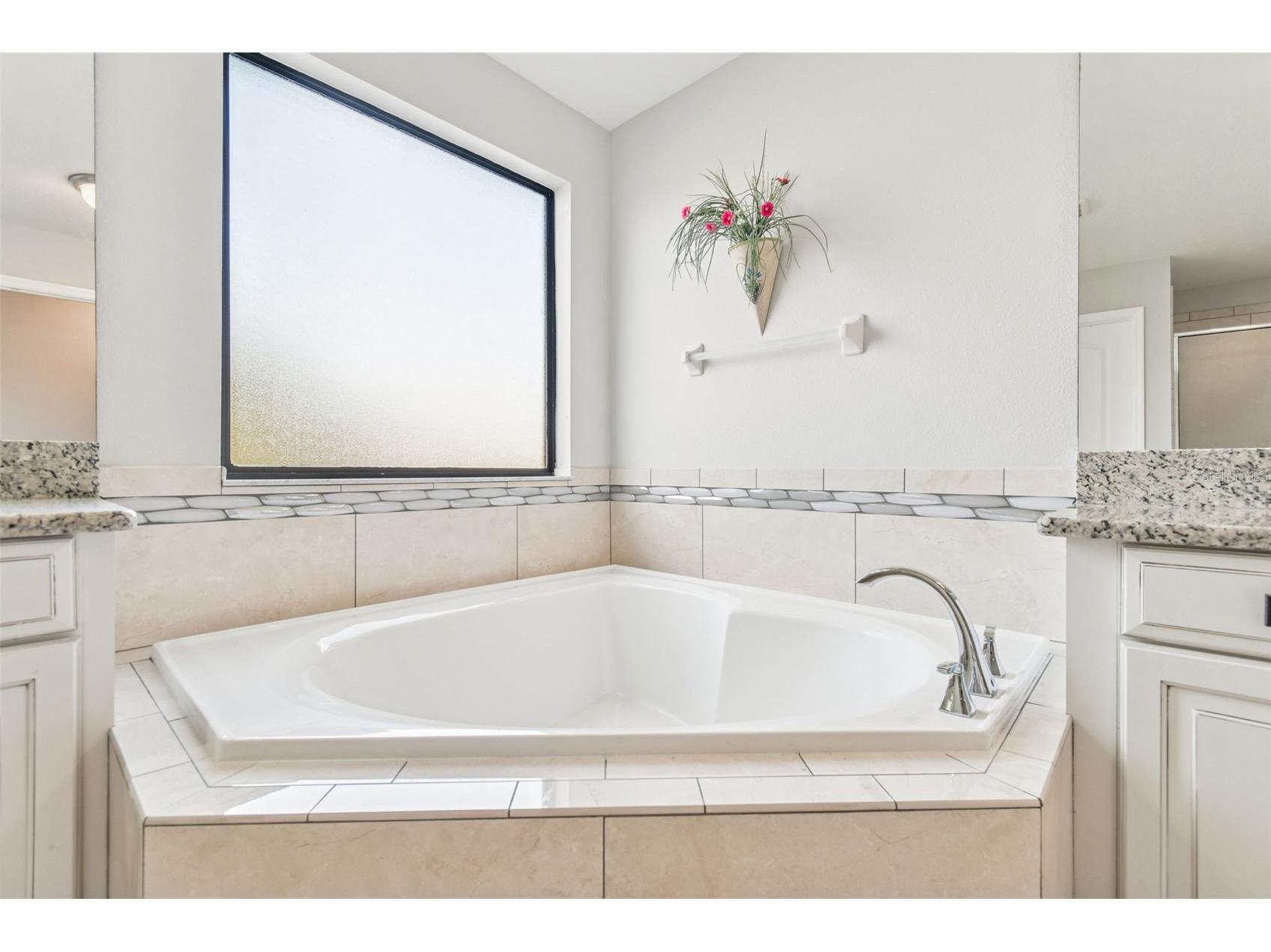 11748 Albatross Lane Riverview FL 33569 TB8449022 image55