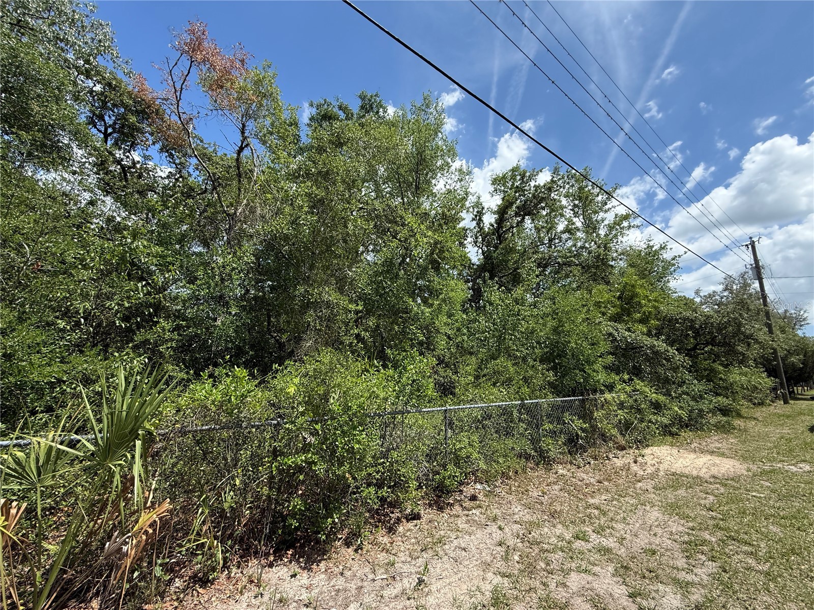 11748 Turkey Lane New Port Richey FL 34654 TB8514096 image1
