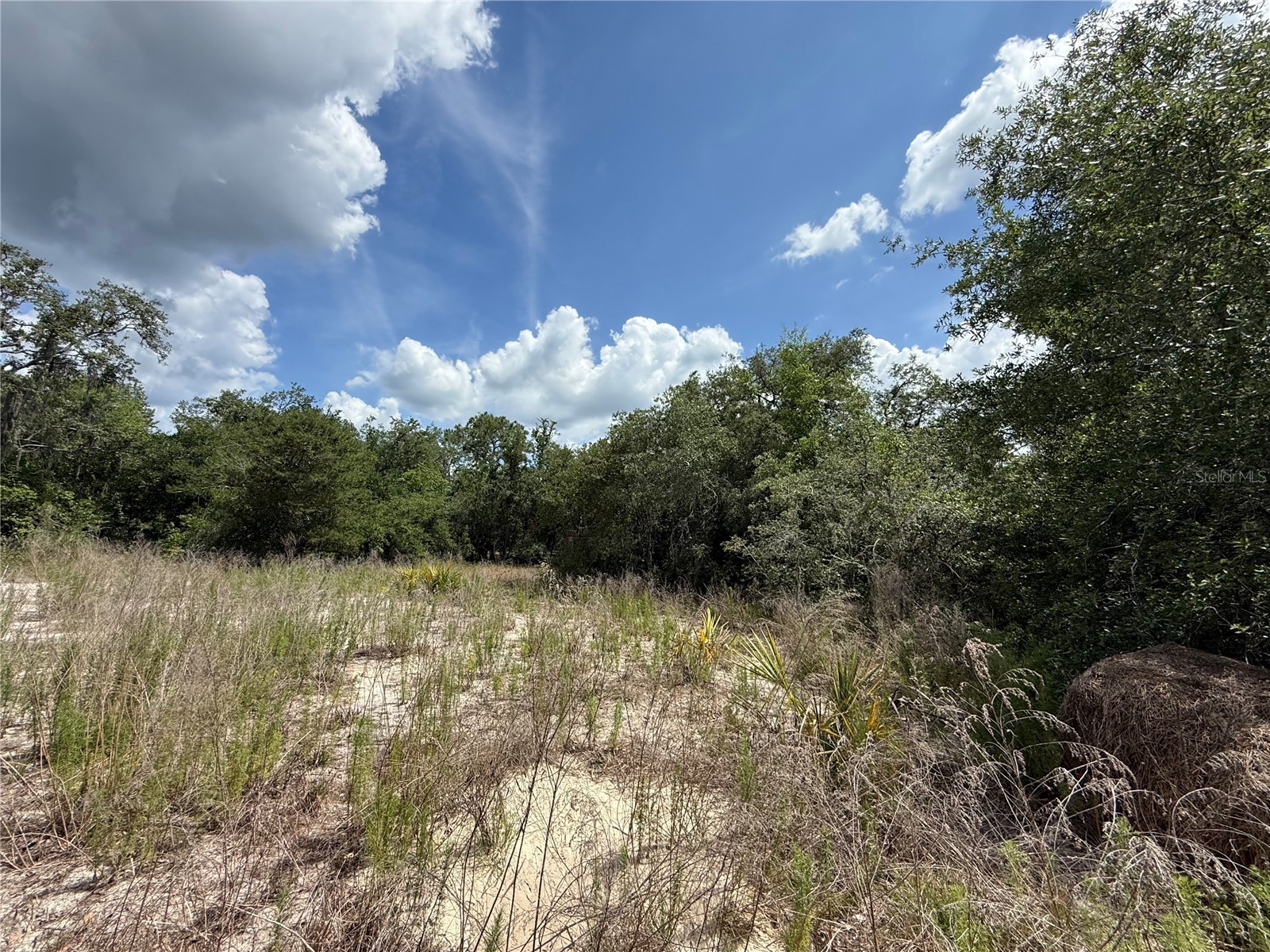 11748 Turkey Lane New Port Richey FL 34654 TB8514096 image10