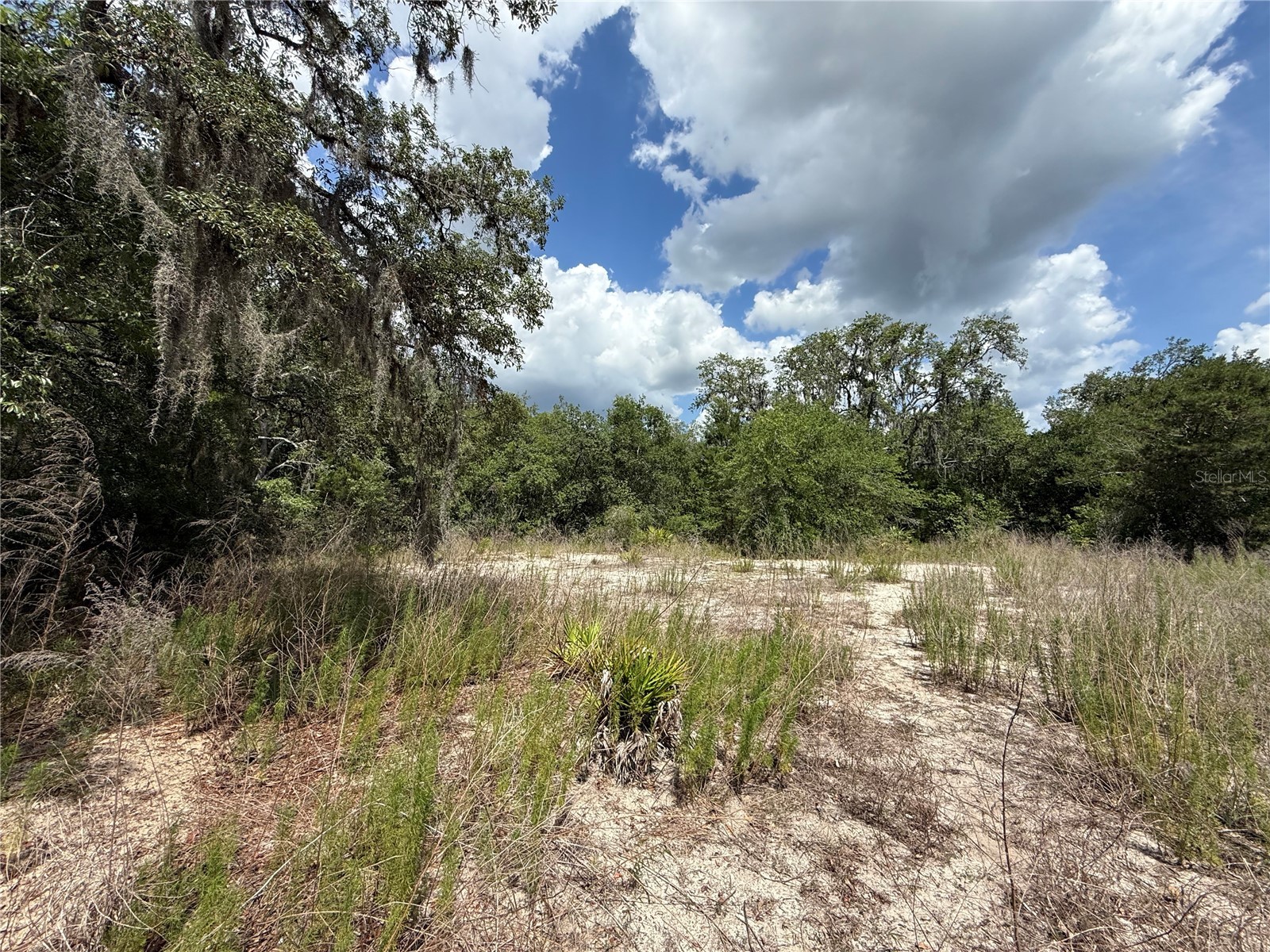 11748 Turkey Lane New Port Richey FL 34654 TB8514096 image11