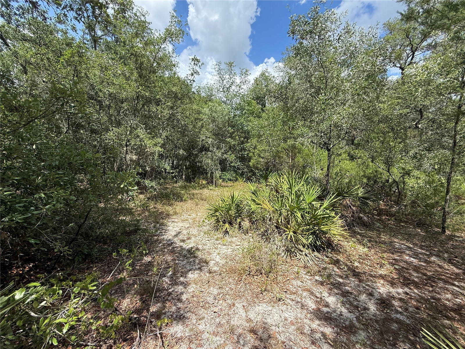 11748 Turkey Lane New Port Richey FL 34654 TB8514096 image13
