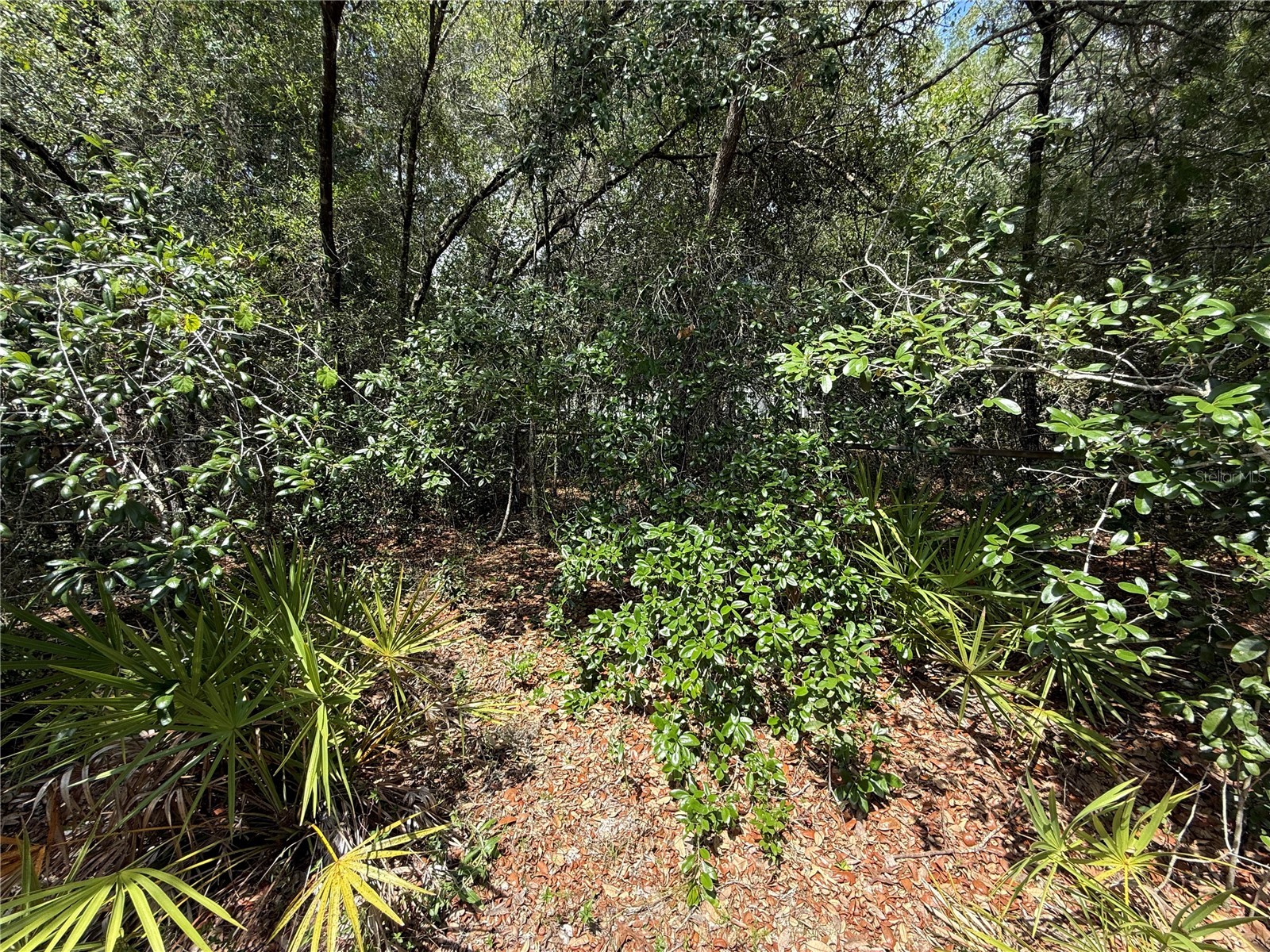 11748 Turkey Lane New Port Richey FL 34654 TB8514096 image14