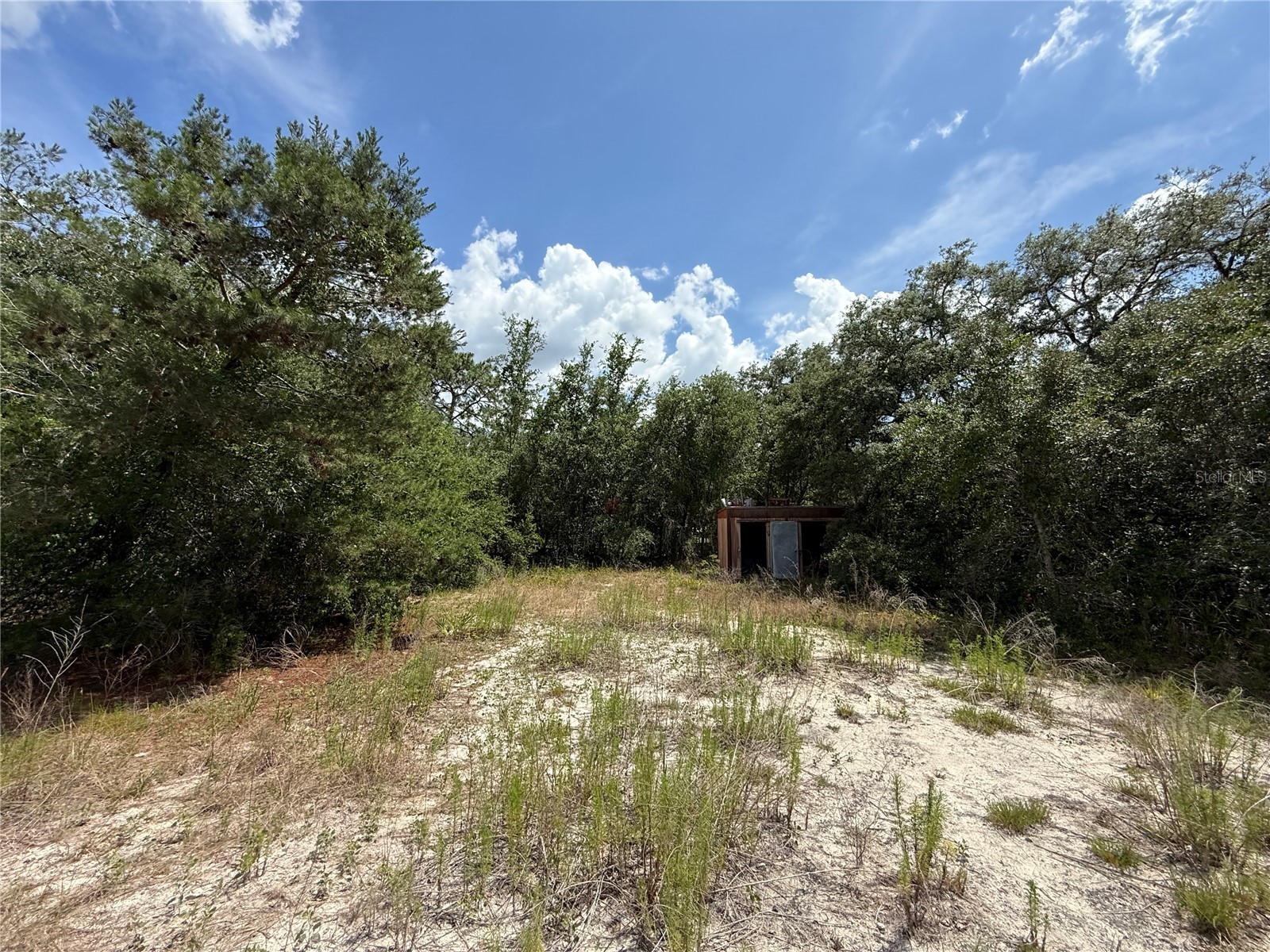 11748 Turkey Lane New Port Richey FL 34654 TB8514096 image15