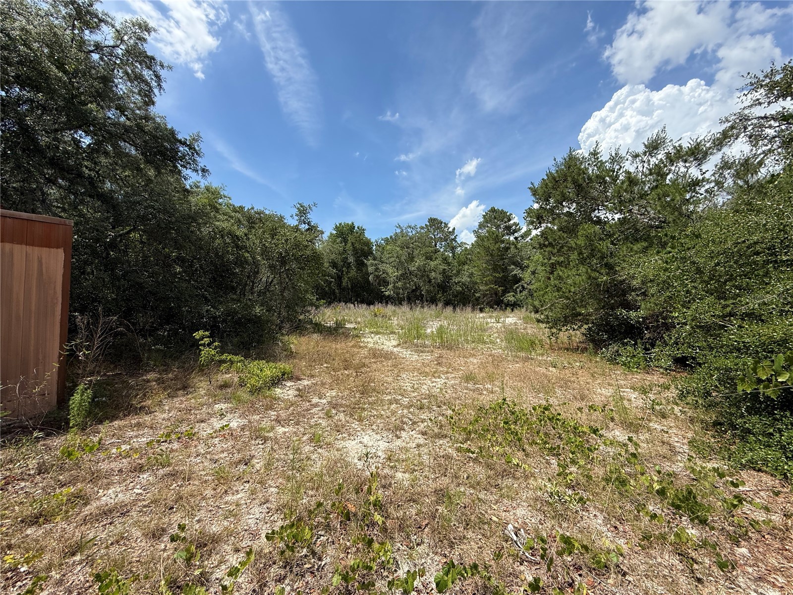 11748 Turkey Lane New Port Richey FL 34654 TB8514096 image16