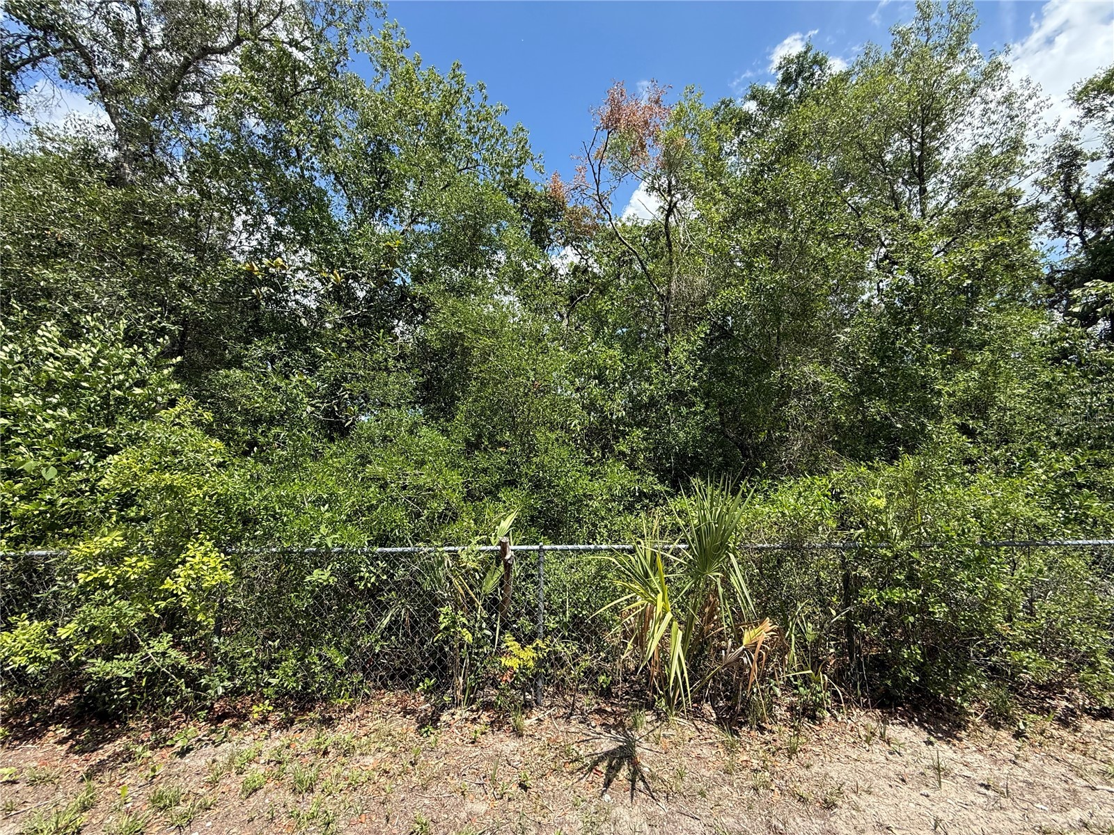 11748 Turkey Lane New Port Richey FL 34654 TB8514096 image4