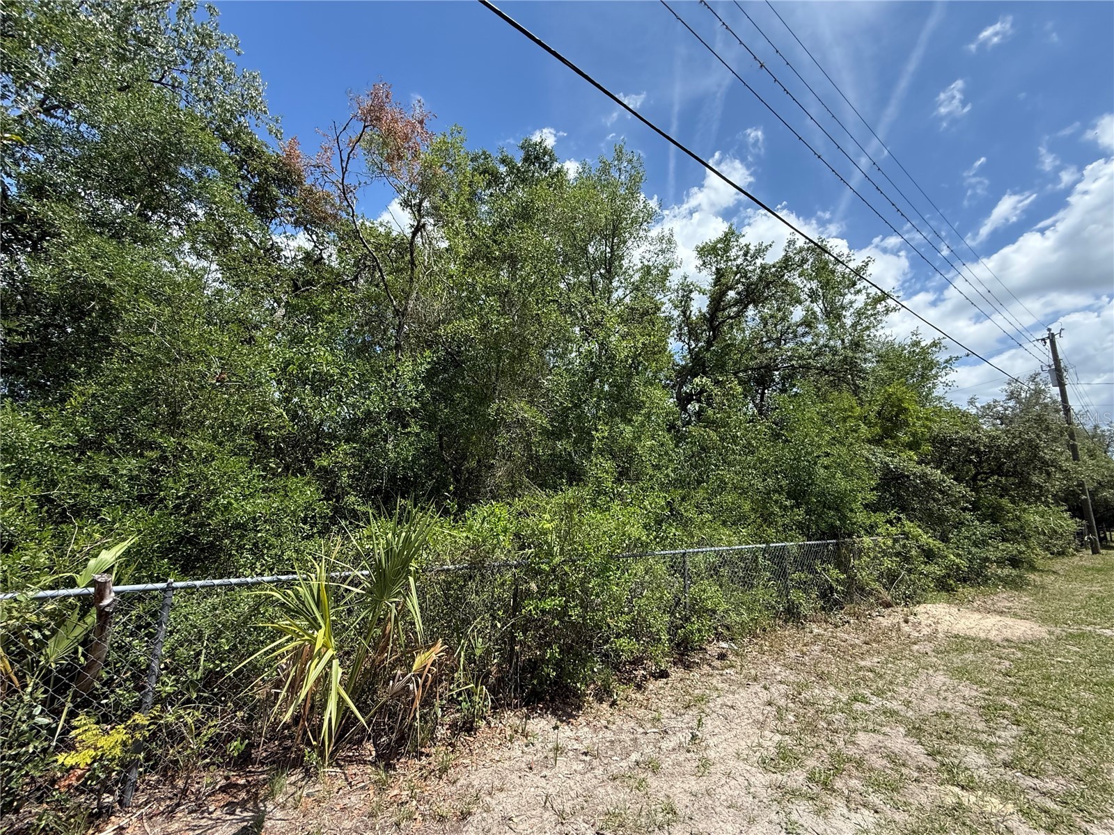 11748 Turkey Lane New Port Richey FL 34654 TB8514096 image5