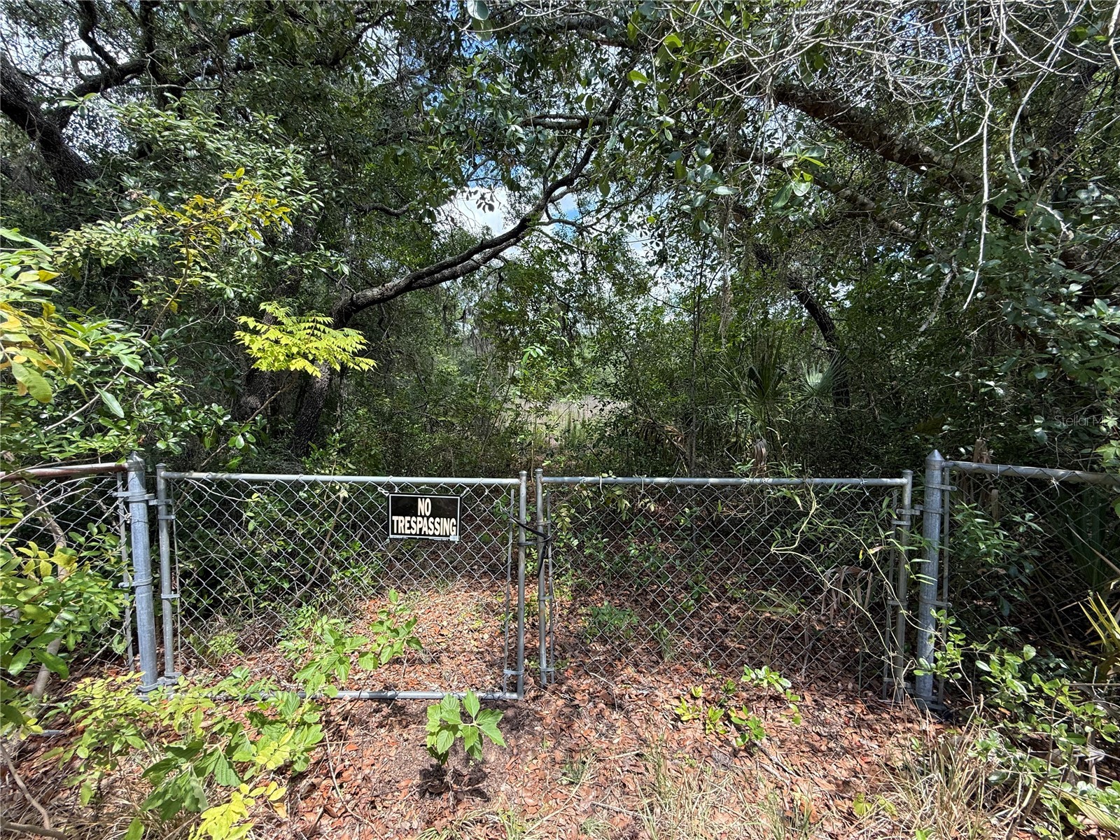 11748 Turkey Lane New Port Richey FL 34654 TB8514096 image7