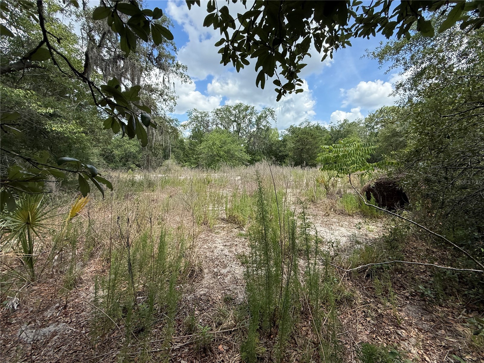 11748 Turkey Lane New Port Richey FL 34654 TB8514096 image8