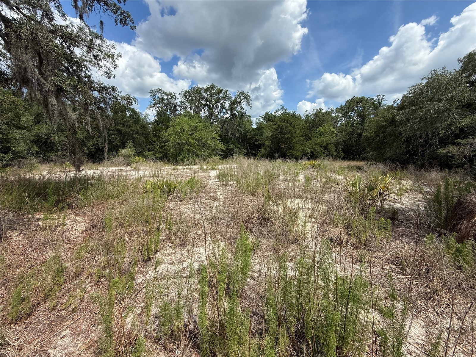 11748 Turkey Lane New Port Richey FL 34654 TB8514096 image9