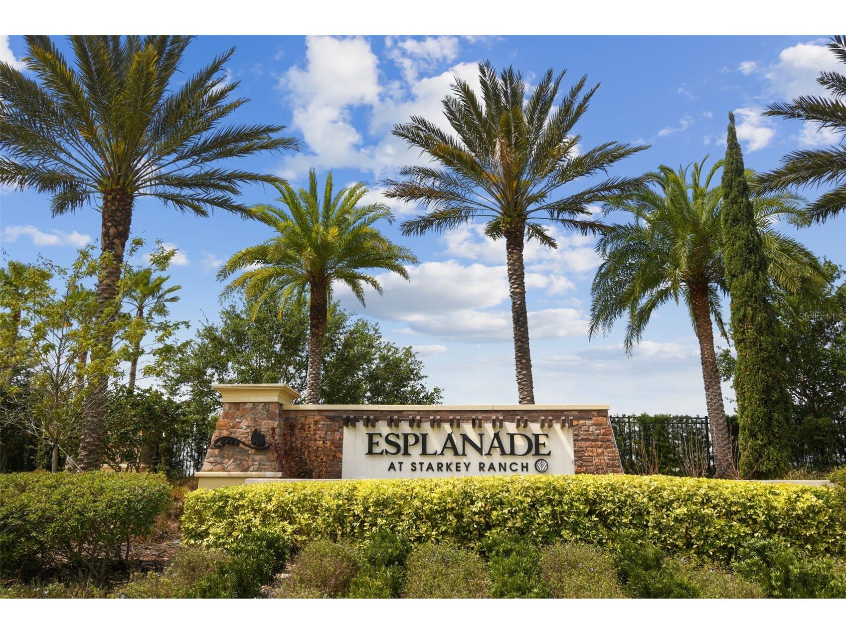 11749 Bitola Drive Odessa FL 33556 W7886826 image2