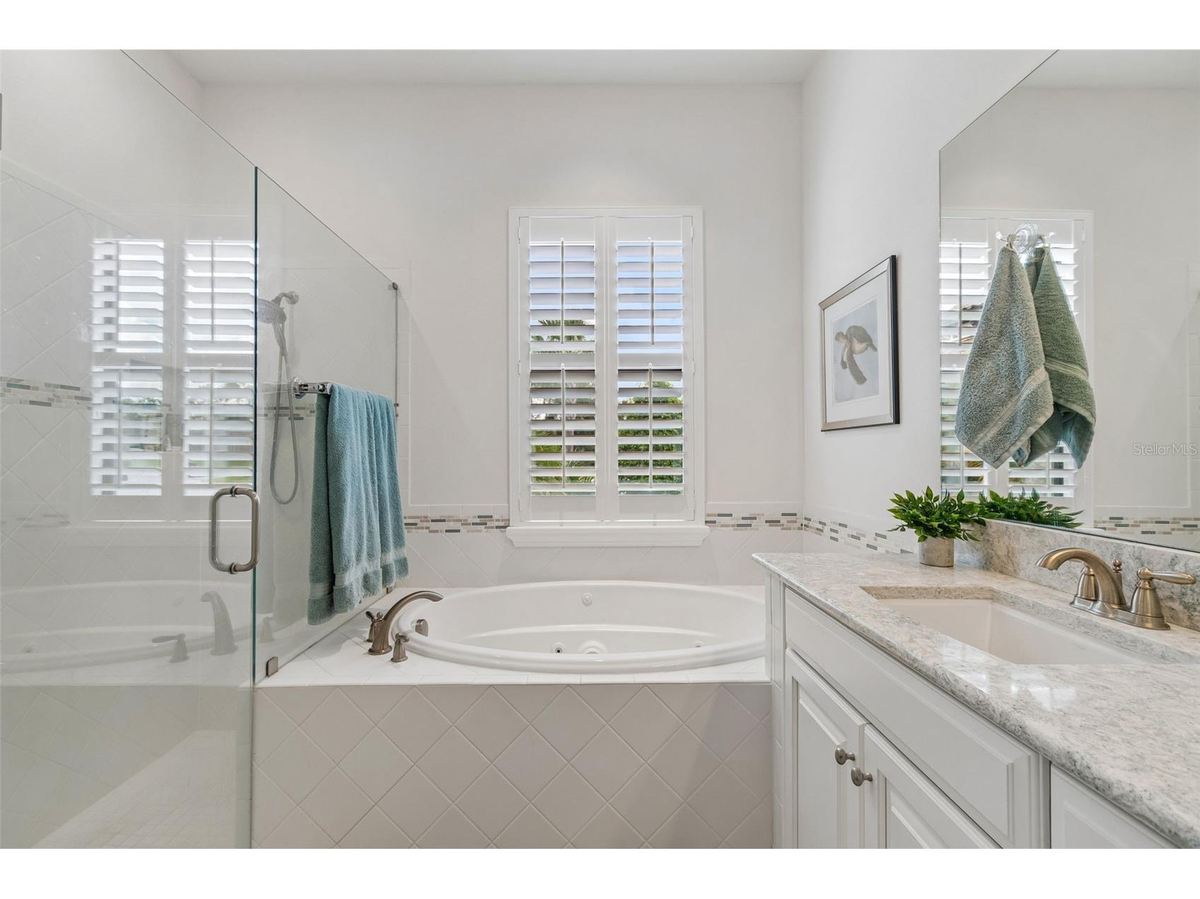 11749 Bitola Drive Odessa FL 33556 W7886826 image43