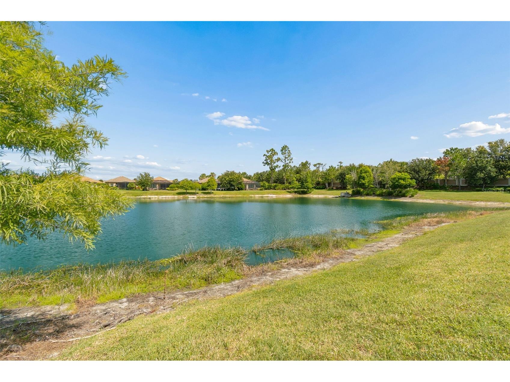 11749 Bitola Drive Odessa FL 33556 W7886826 image63