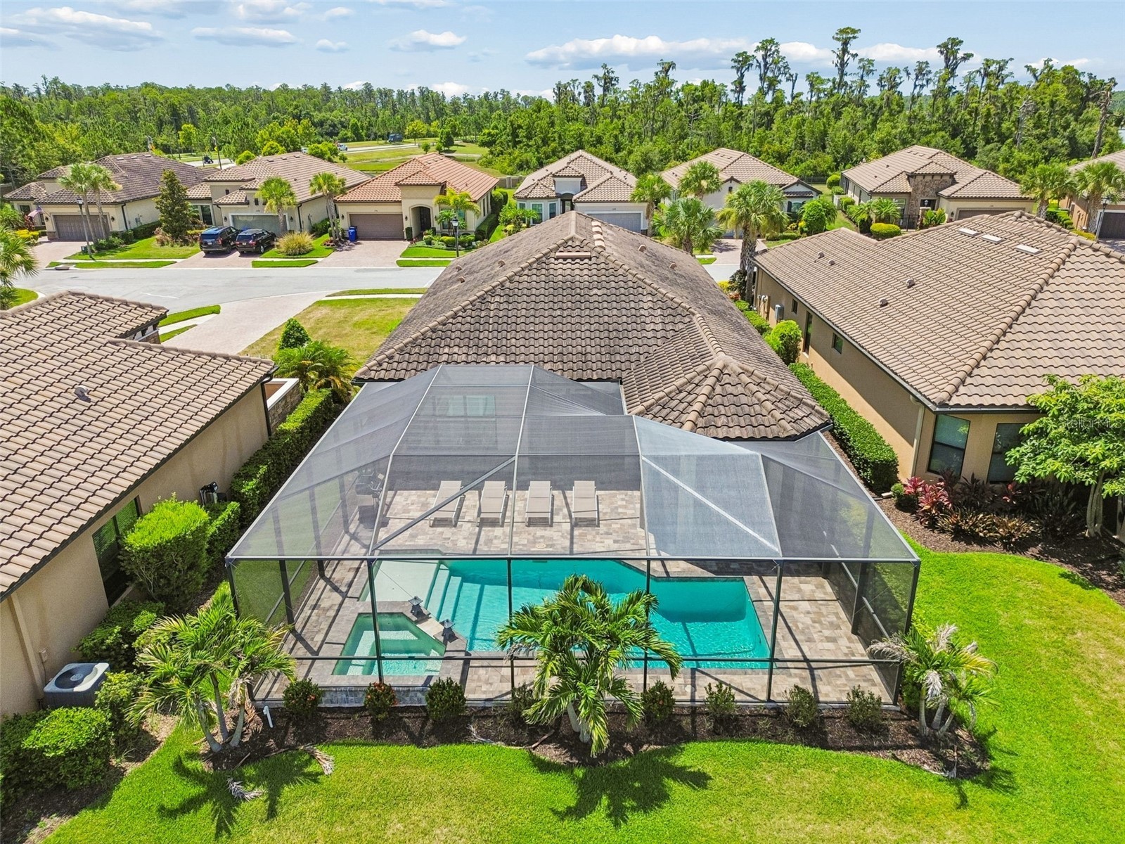 11749 Bitola Drive Odessa FL 33556 W7886826 image66