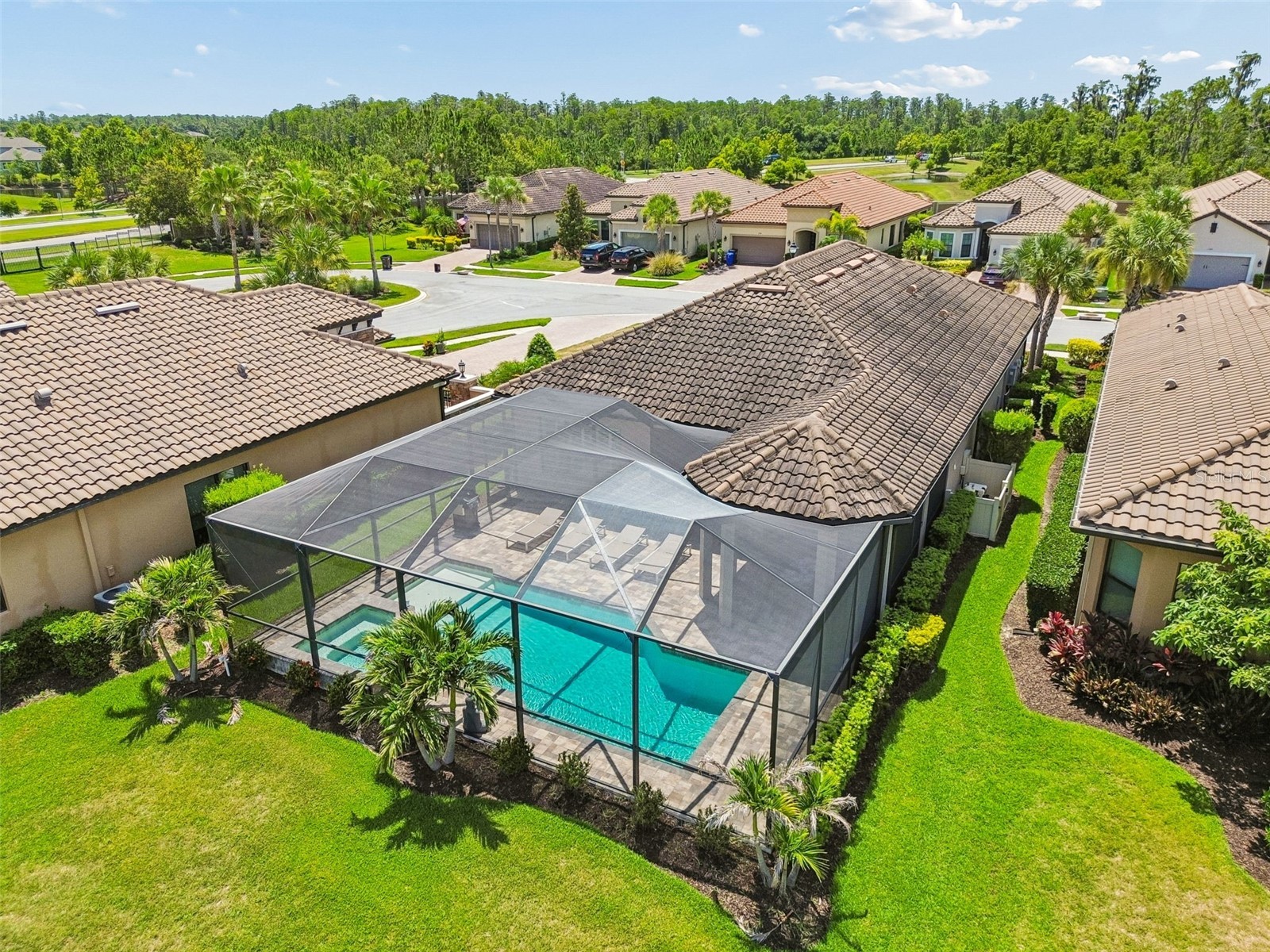 11749 Bitola Drive Odessa FL 33556 W7886826 image67