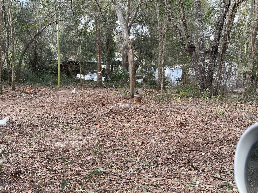 11749 E Cardinal Place Floral City FL 34436 U8232698 image1