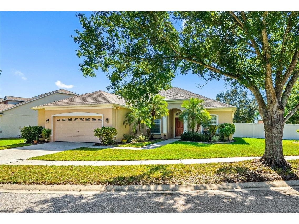 11749 Summer Springs Drive Riverview FL 33579 TB8441961 image1