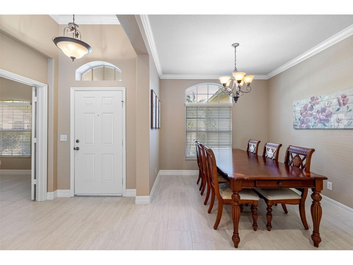 11749 Summer Springs Drive Riverview FL 33579 TB8441961 image3