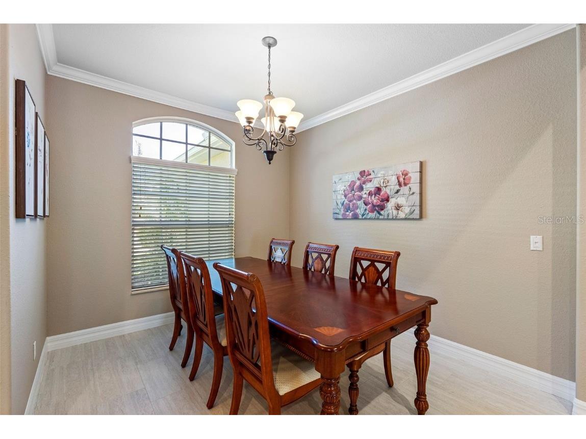 11749 Summer Springs Drive Riverview FL 33579 TB8441961 image4