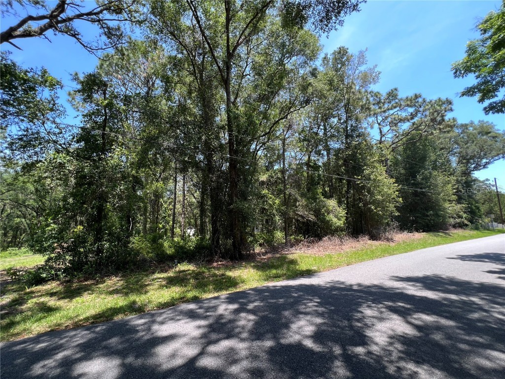 1175 20th Street Orange City FL 32763 V4930282 image1