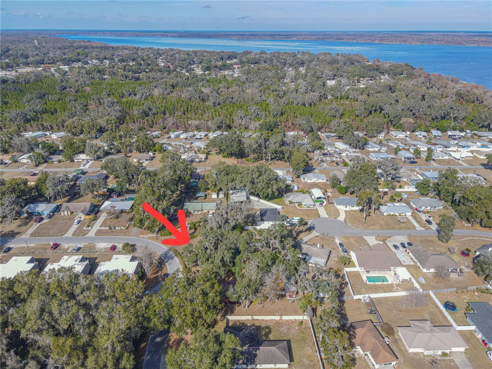 1175 Cr 463b Lake Panasoffkee FL 33538 TB8528453 image37