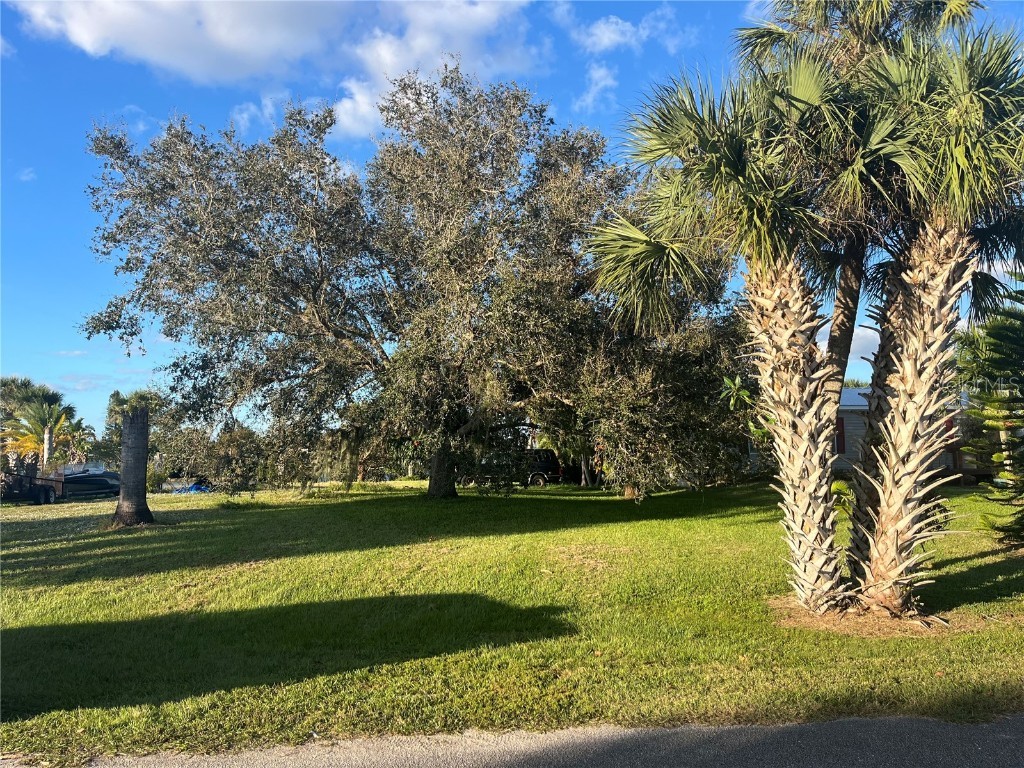 1175 Friendship Drive Moore Haven FL 33471 OK224666 image1