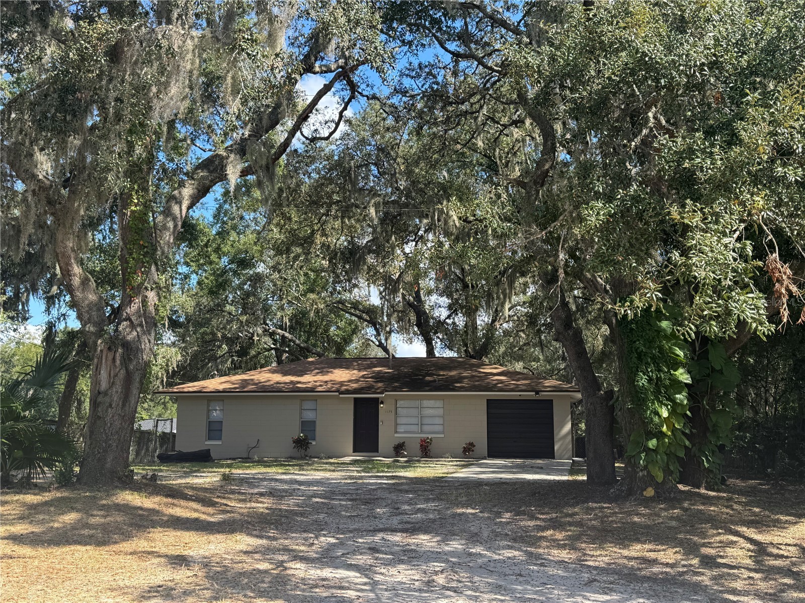 1175 Georgia Avenue Apopka FL 32703 O6355520 image1