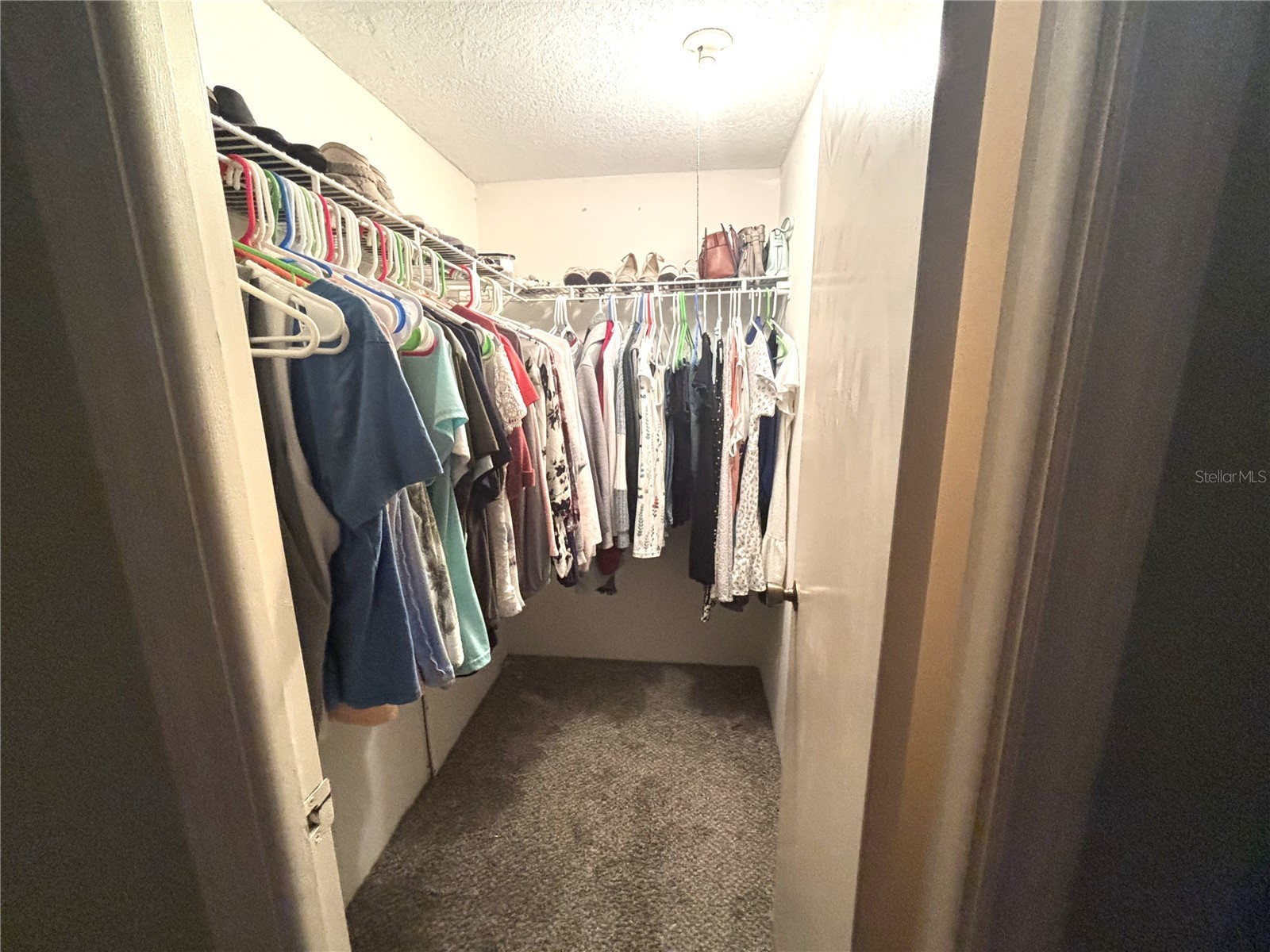 1175 Mission Circle #1175 Clearwater FL 33759 TB8433331 image22