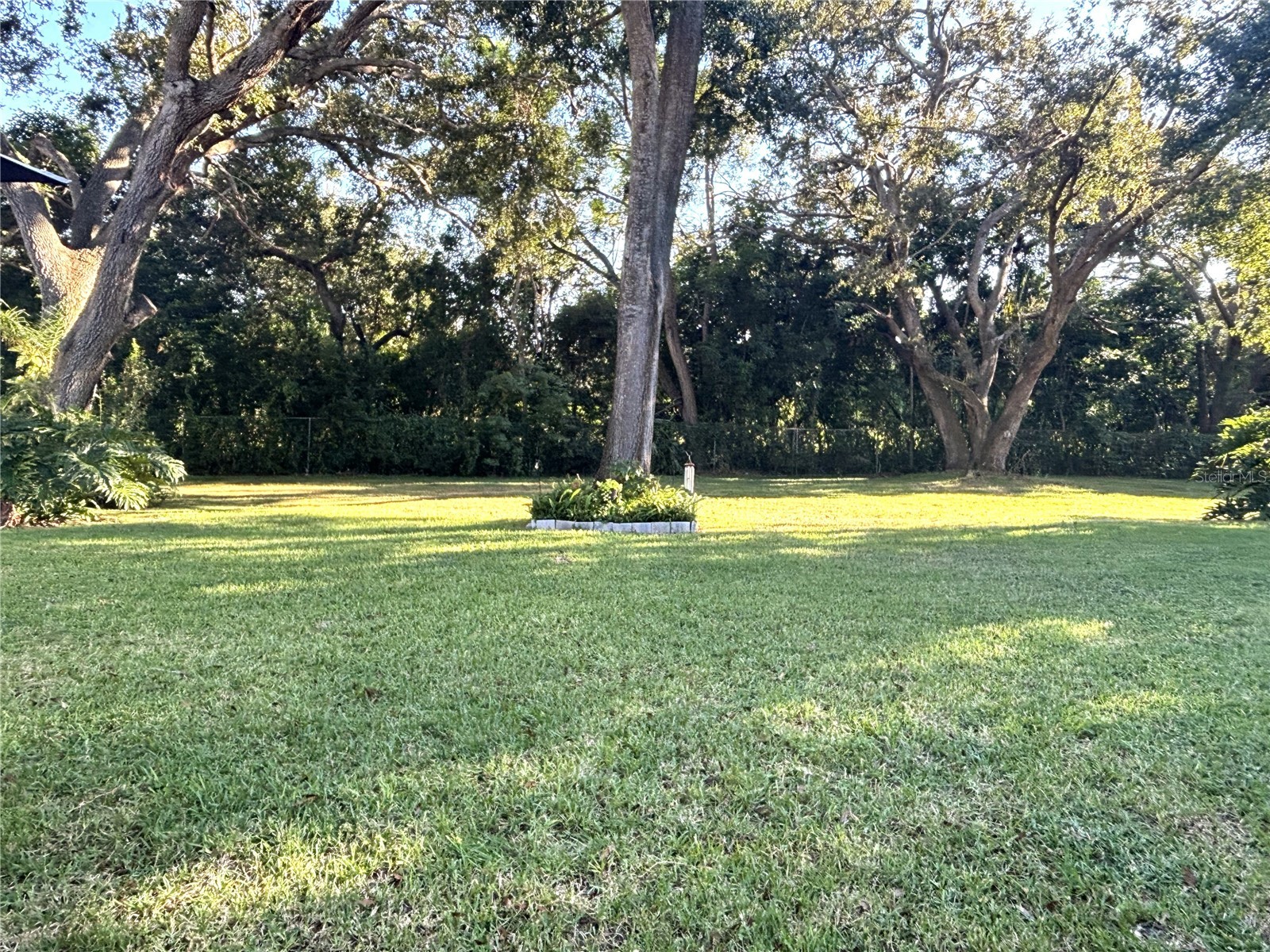 1175 Mission Circle #1175 Clearwater FL 33759 TB8433331 image27