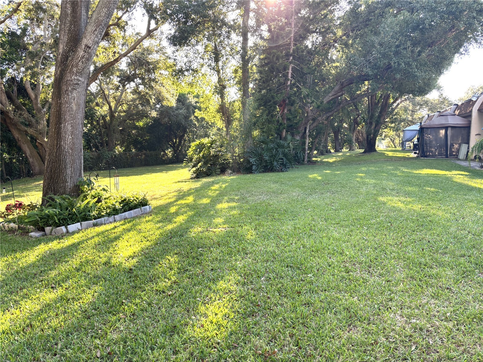 1175 Mission Circle #1175 Clearwater FL 33759 TB8433331 image28