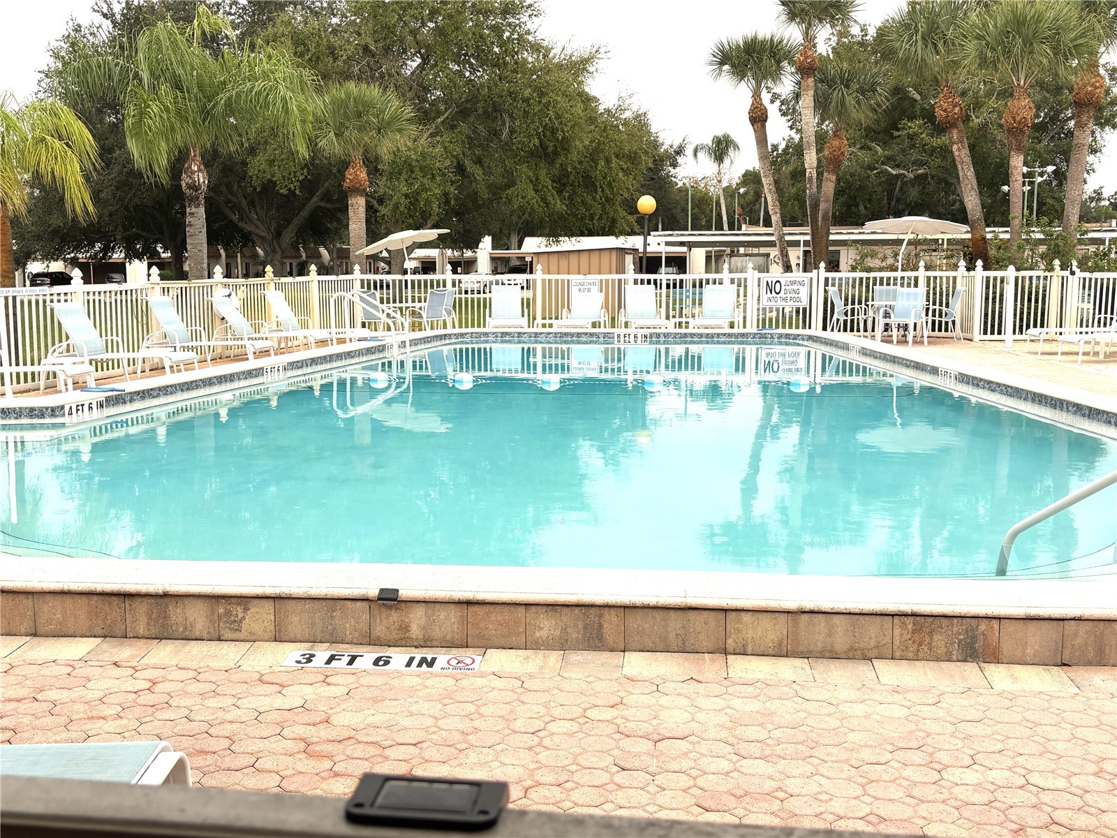 1175 Mission Circle #1175 Clearwater FL 33759 TB8433331 image31