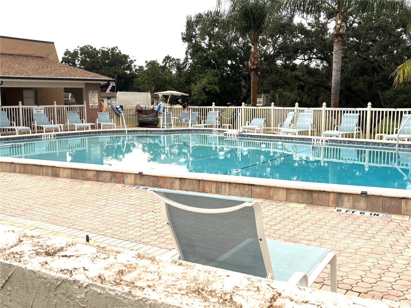 1175 Mission Circle #1175 Clearwater FL 33759 TB8433331 image32