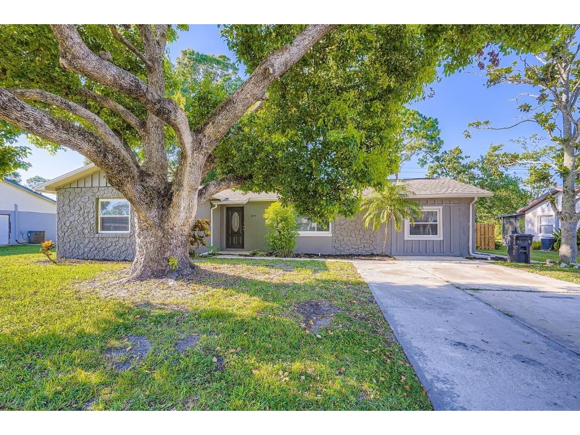 1175 Tracy Drive Port Orange FL 32129 O6324274 image1