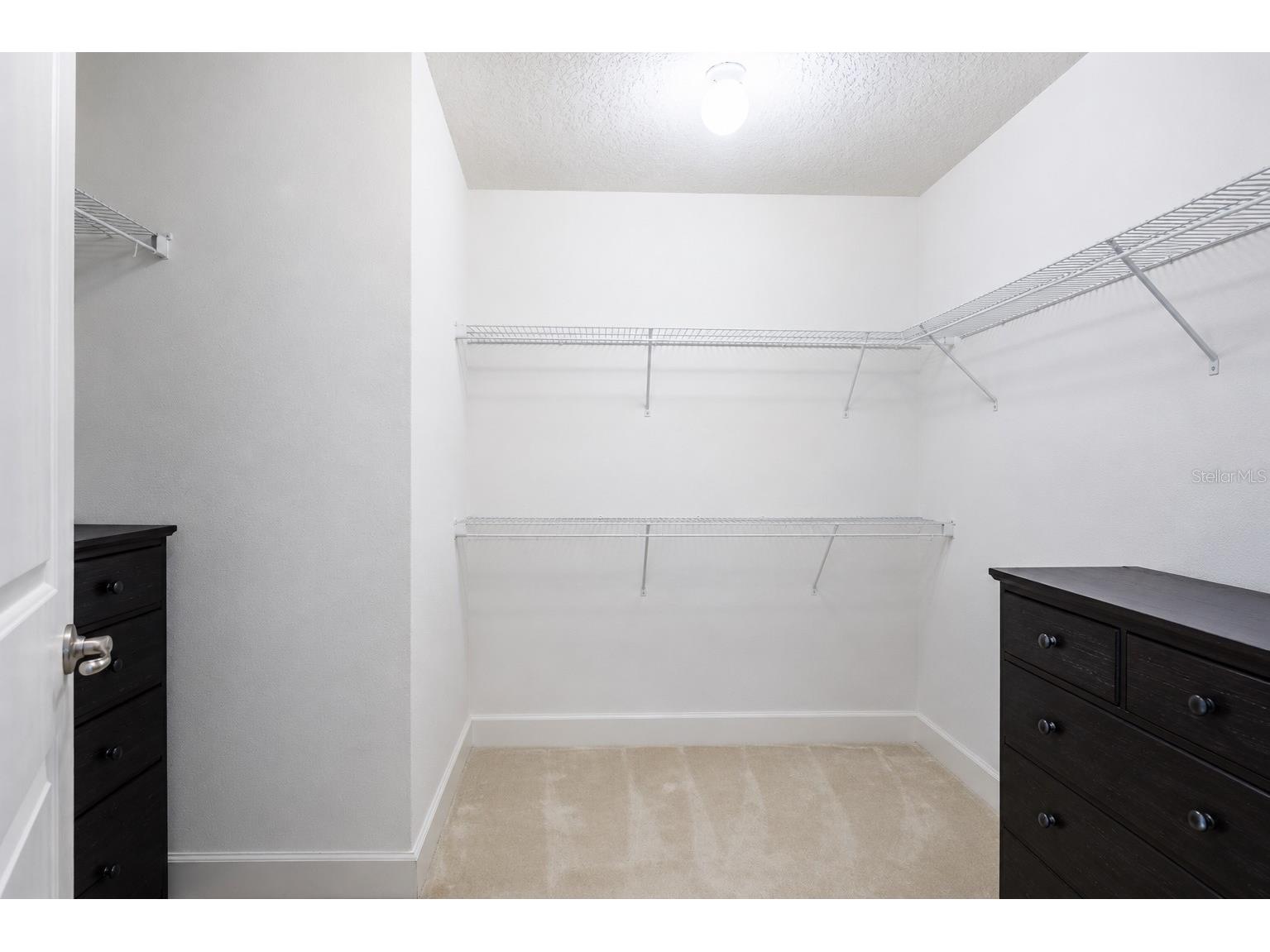 11750 Chateaubriand Avenue Orlando FL 32836 O6421698 image27
