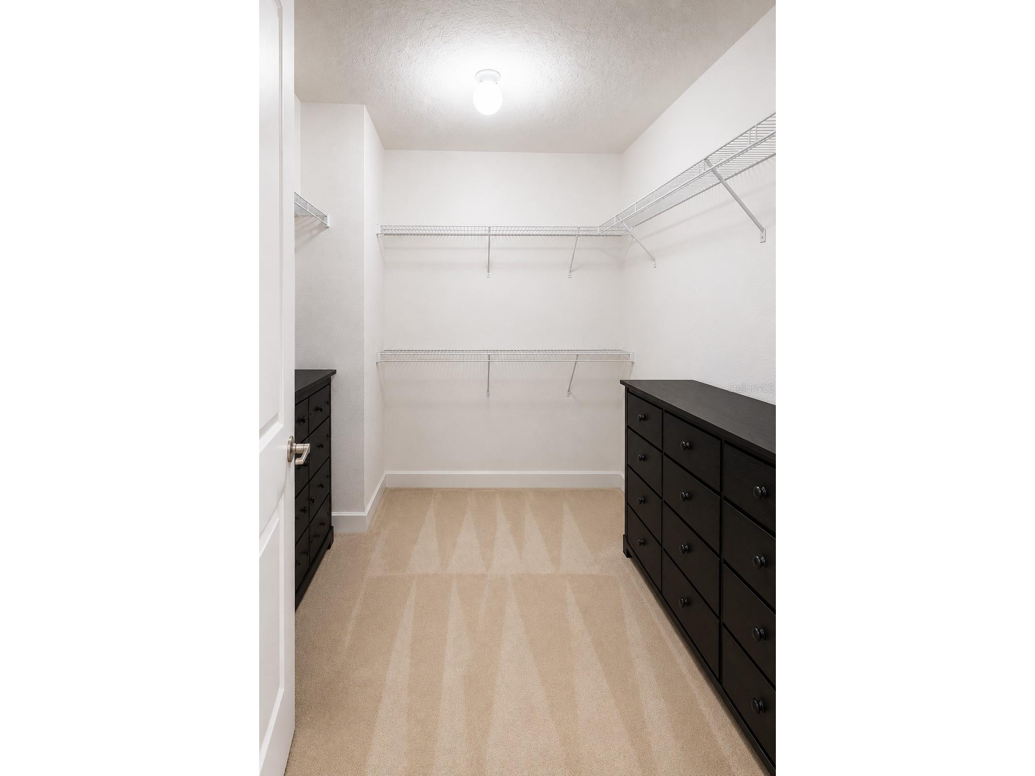 11750 Chateaubriand Avenue Orlando FL 32836 O6421698 image28