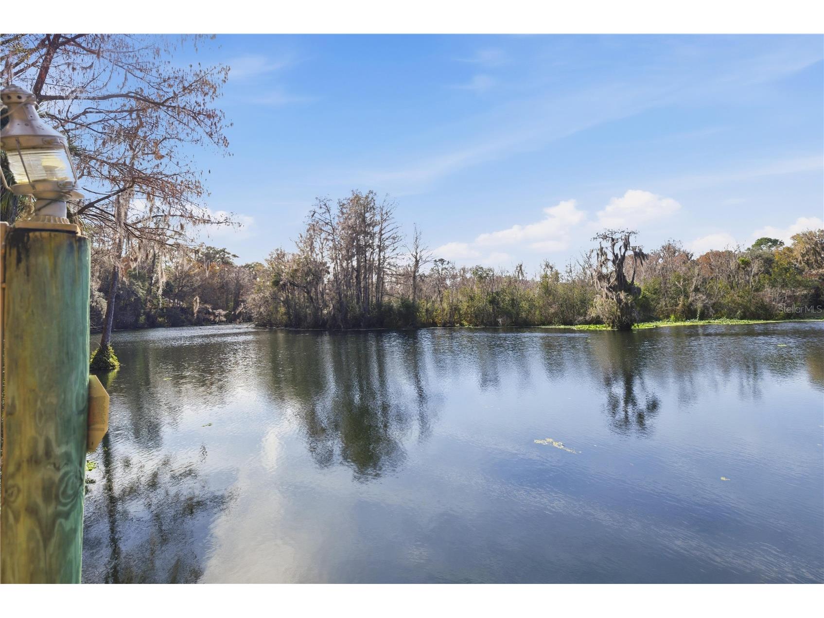 11750 Cherokee Circle Dunnellon FL 34431 OM716479 image39