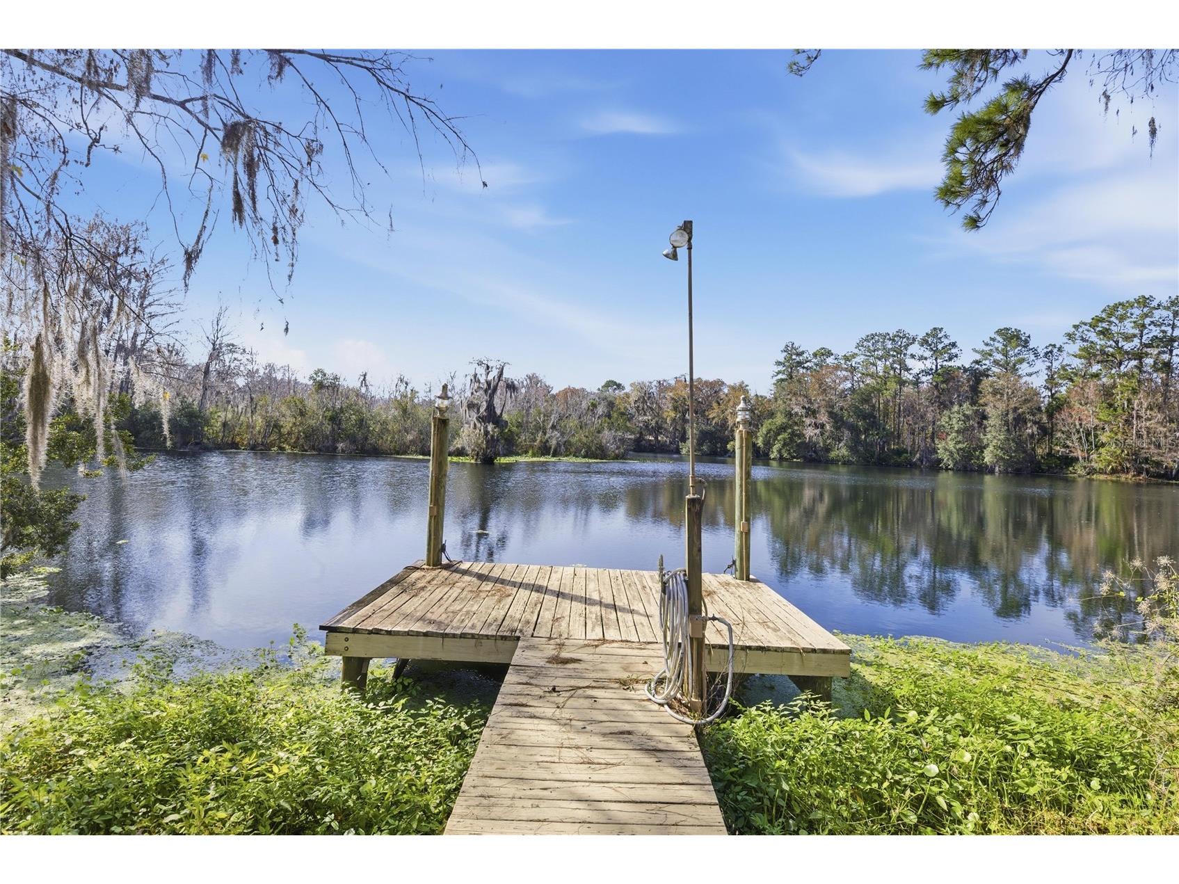 11750 Cherokee Circle Dunnellon FL 34431 OM716479 image4