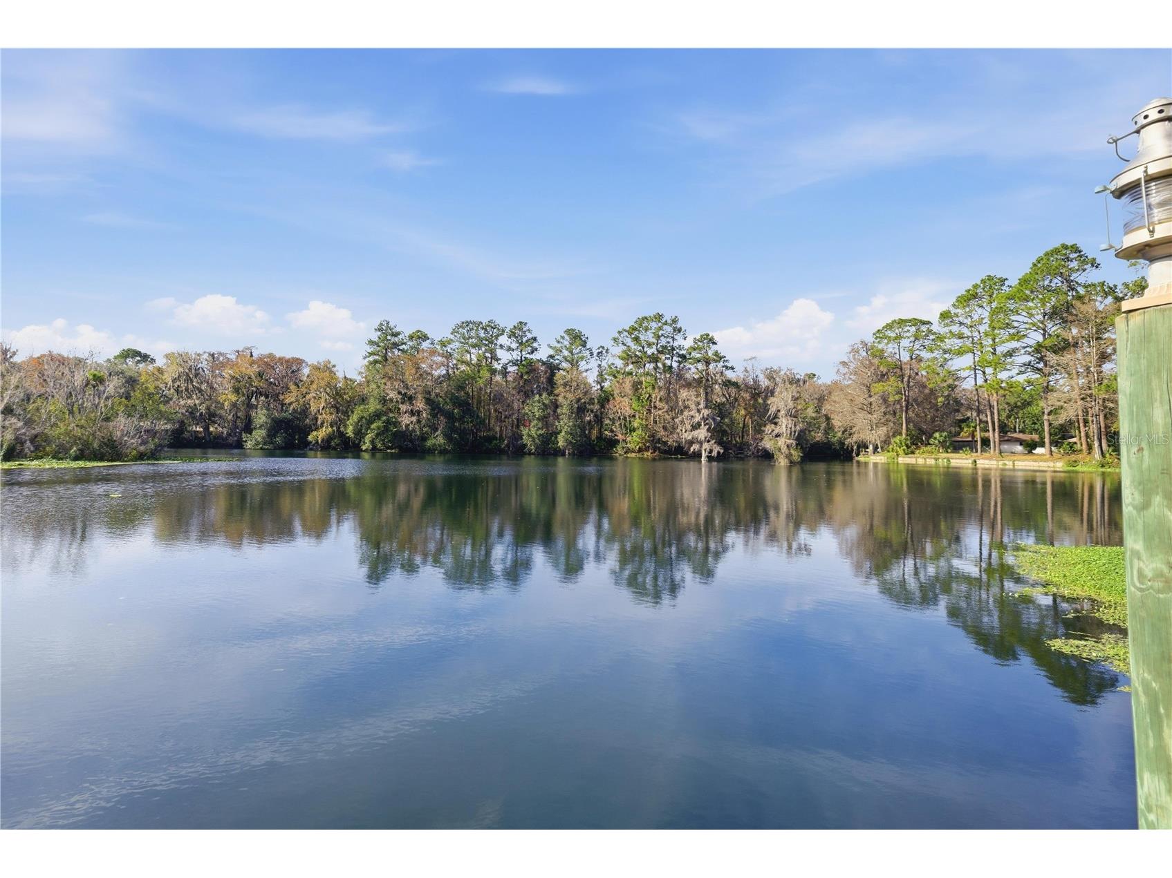 11750 Cherokee Circle Dunnellon FL 34431 OM716479 image40