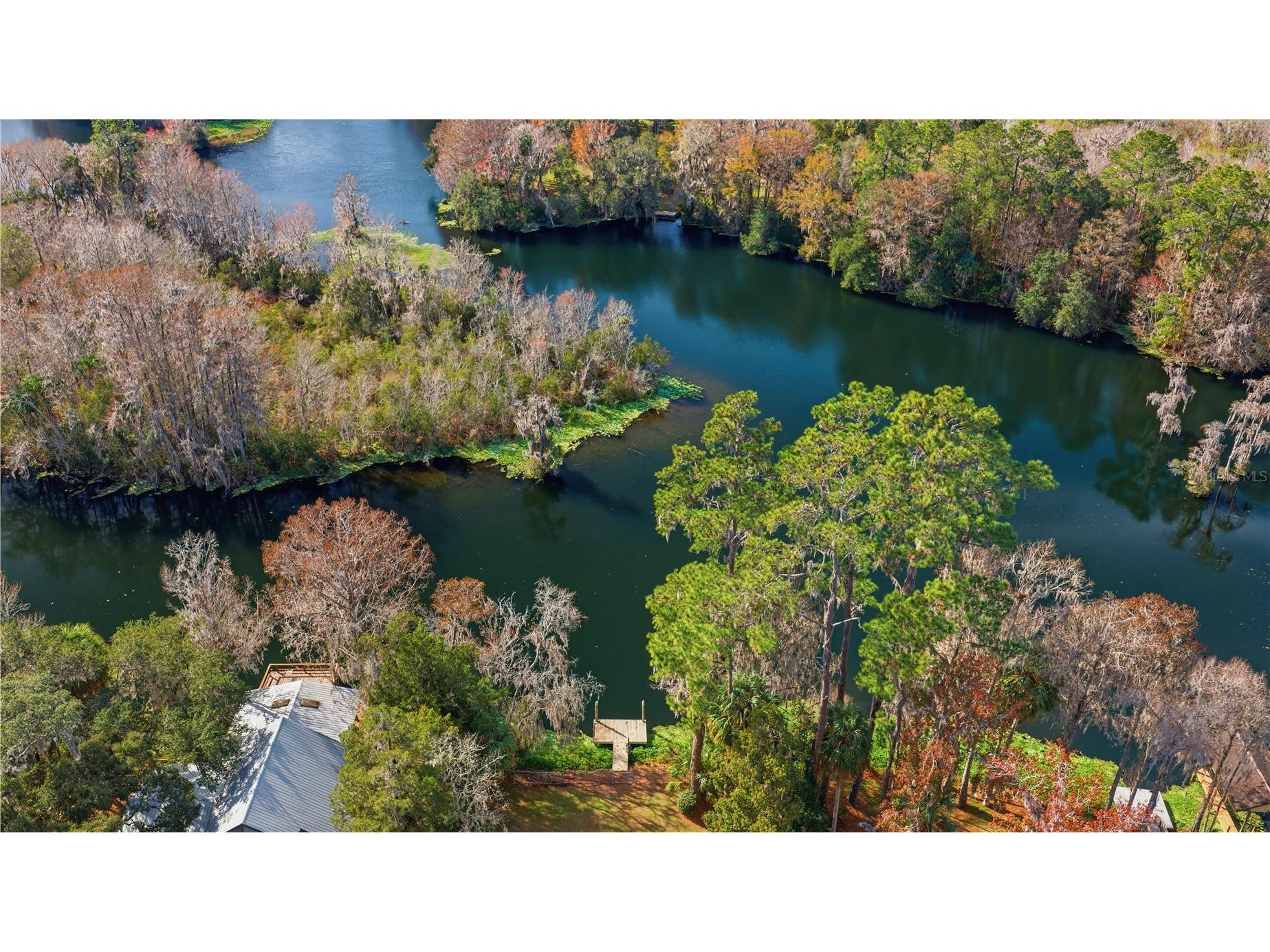 11750 Cherokee Circle Dunnellon FL 34431 OM716479 image5