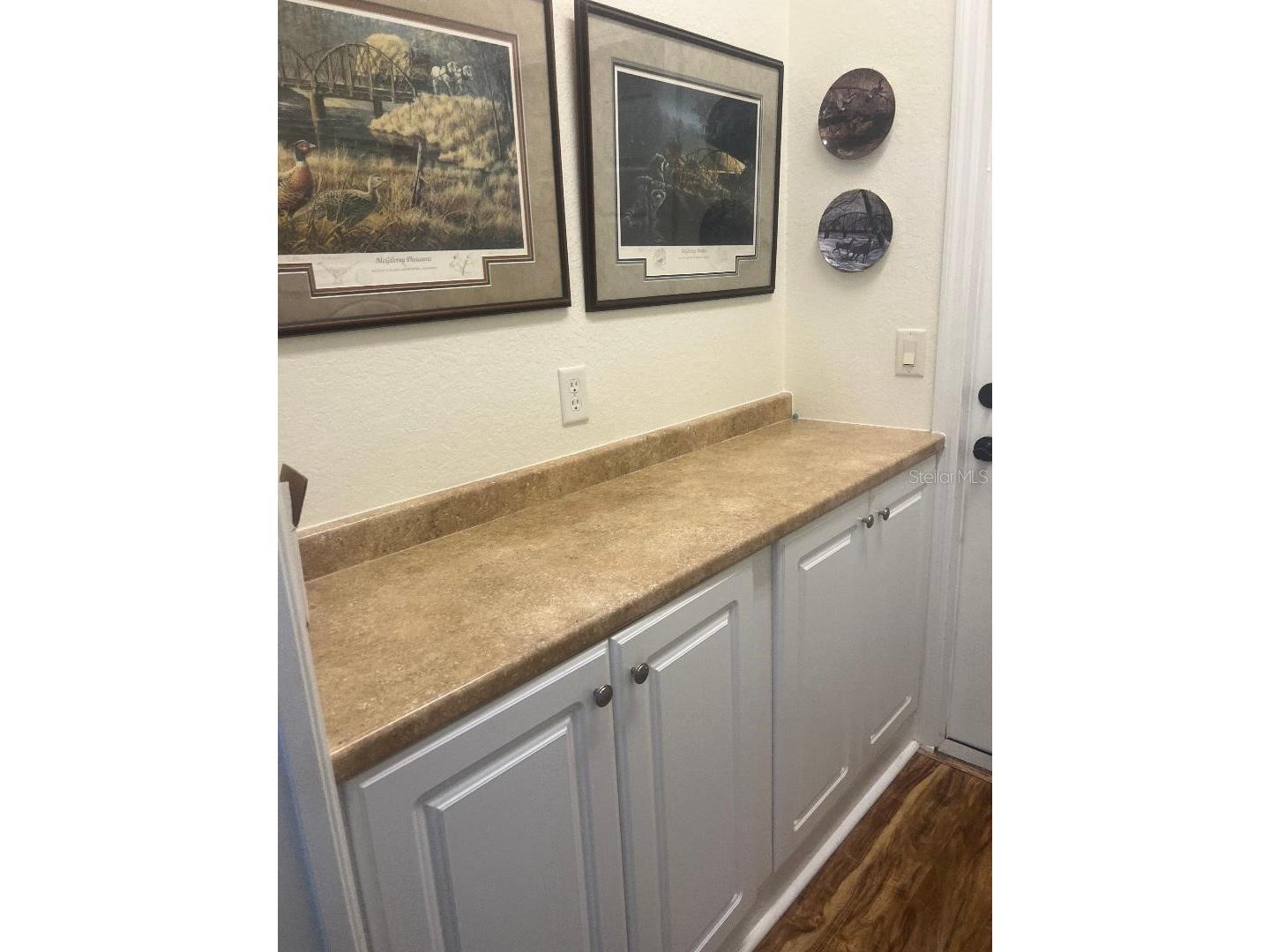 11750 SE 178th Street Summerfield FL 34491 - LAKE VIEW ON HOLE 1 & 2 OM723011 image29