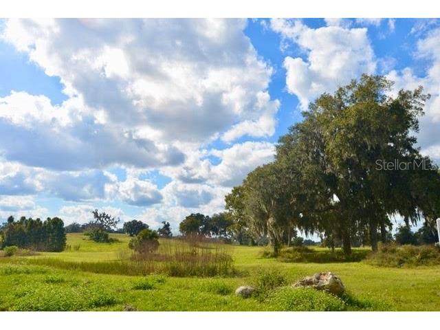 11750 SE 22nd Ave Road Ocala FL 34473 OM714004 image1