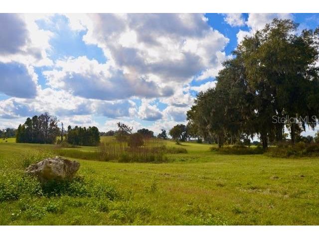 11750 SE 22nd Ave Road Ocala FL 34473 OM714004 image2