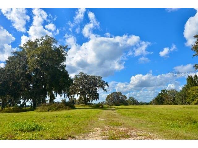 11750 SE 22nd Ave Road Ocala FL 34473 OM714004 image3