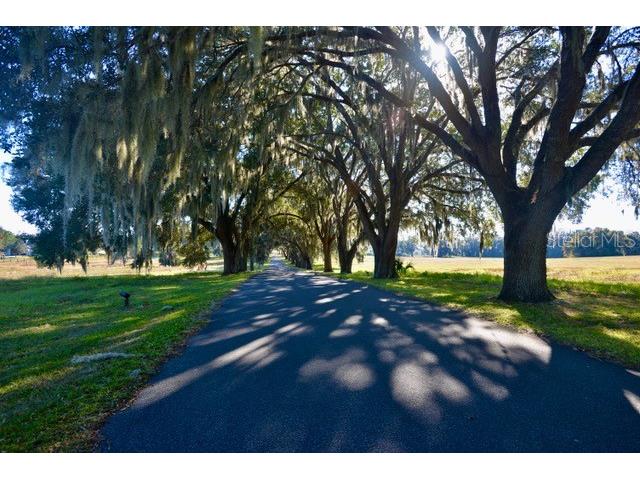 11750 SE 22nd Ave Road Ocala FL 34473 OM714004 image5