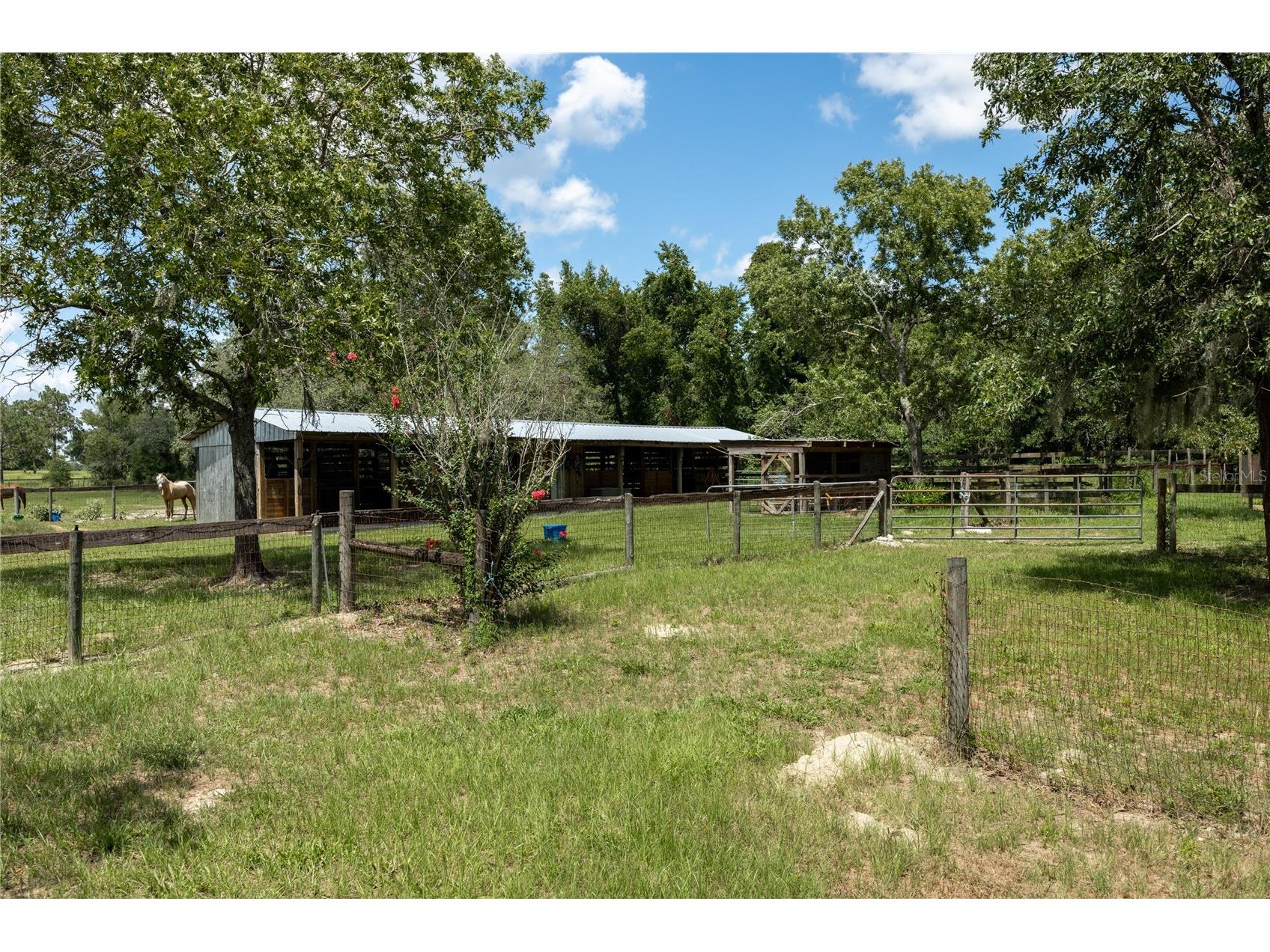 11751 SE 16th Lane Morriston FL 32668 GC541489 image55