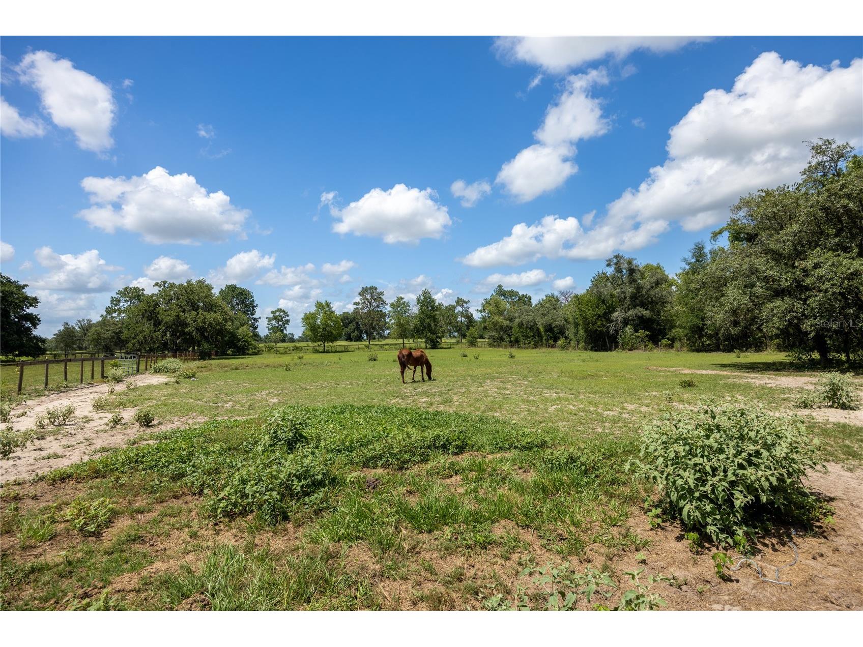 11751 SE 16th Lane Morriston FL 32668 GC541489 image67