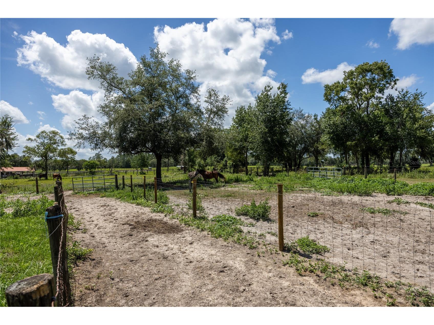11751 SE 16th Lane Morriston FL 32668 GC541489 image71