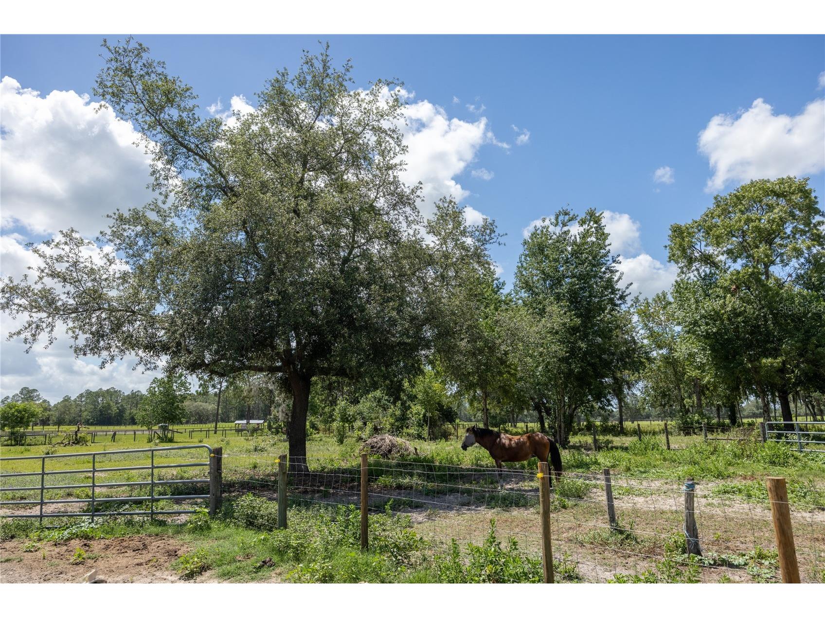 11751 SE 16th Lane Morriston FL 32668 GC541489 image72