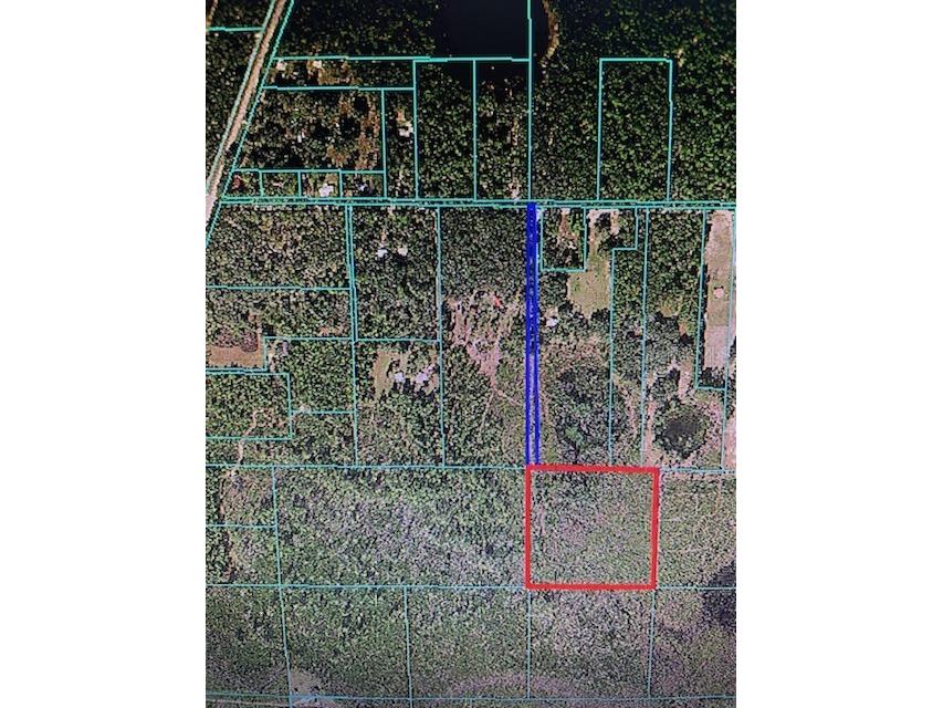 11752 NE 220th Street Fort Mc Coy FL 32134 G5045581 image1