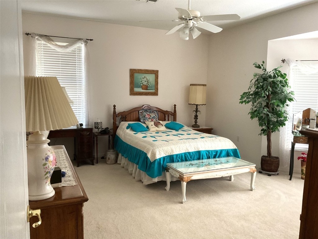 11752 Wayside Willow Court Hudson FL 34667 TB8375204 image12